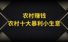 为什么篮球教练的经验很重要_1